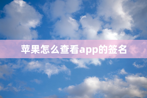 苹果怎么查看app的签名