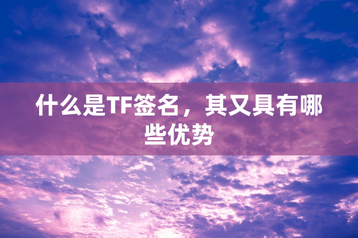 什么是TF签名，其又具有哪些优势