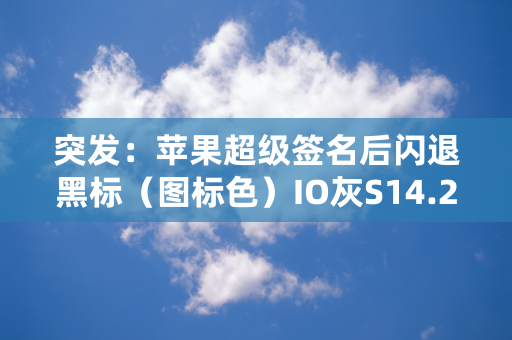 突发：苹果超级签名后闪退黑标（图标色）IO灰S14.2 beta2 最新的代码签名格式解决方案