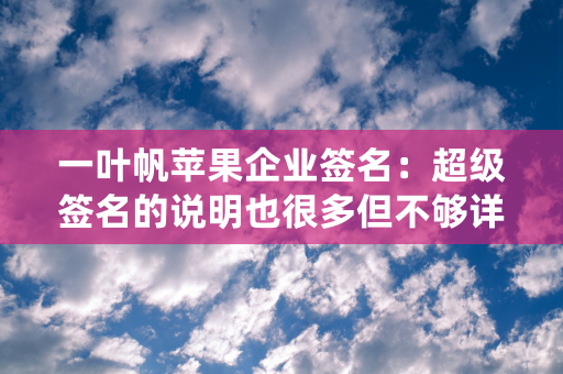 一叶帆苹果企业签名：超级签名的说明也很多但不够详细播报文章