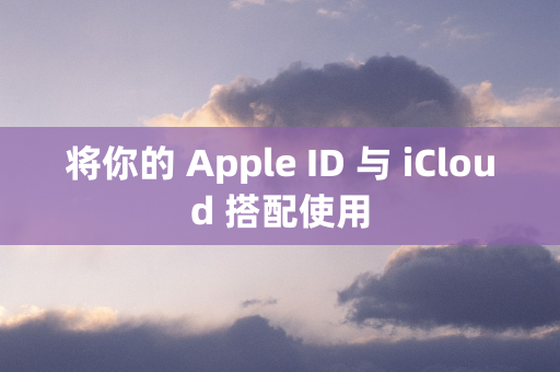 将你的 Apple ID 与 iCloud 搭配使用