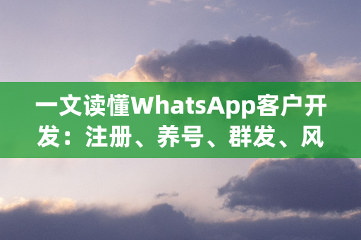 一文读懂WhatsApp客户开发：注册、养号、群发、风控机制深度解析【万字长文】