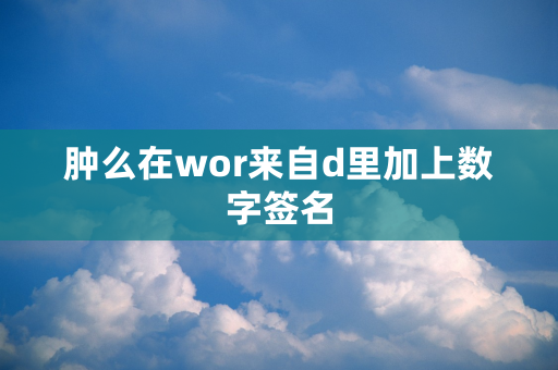 肿么在wor来自d里加上数字签名