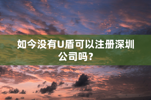 如今没有U盾可以注册深圳公司吗？