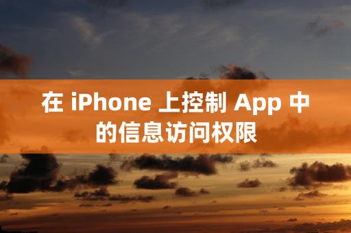 在 iPhone 上控制 App 中的信息访问权限