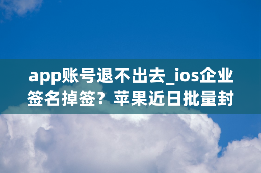 app账号退不出去_ios企业签名掉签？苹果近日批量封了几百个企业级开发者账号...